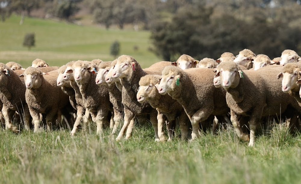 Blogs neXtgenminiseries Industry start no text