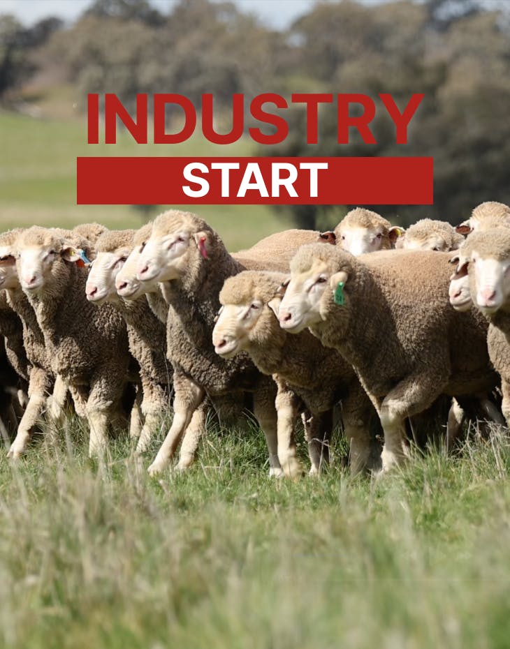 Blogs neXtgenminiseries Industry-start