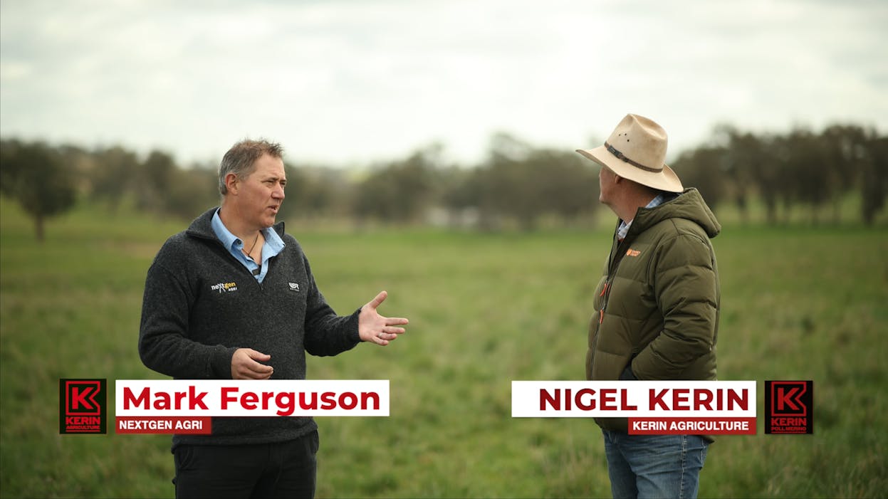 Blogs neXtgenminiseries Stocking-Rate-2