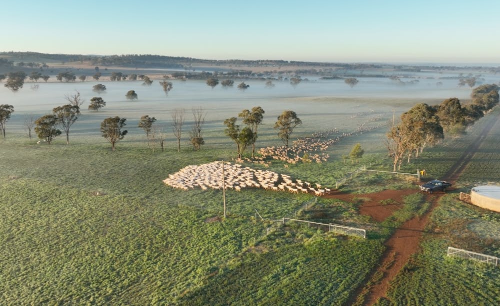 Blogs neXtgenminiseries Stocking-rate-no-text