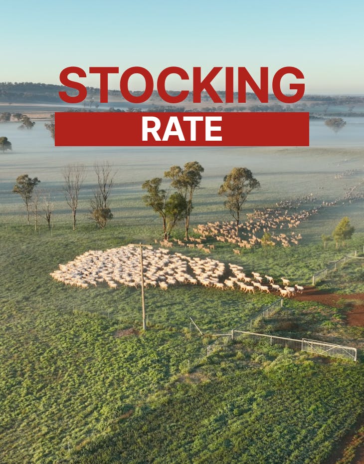 Blogs neXtgenminiseries Stocking-rate