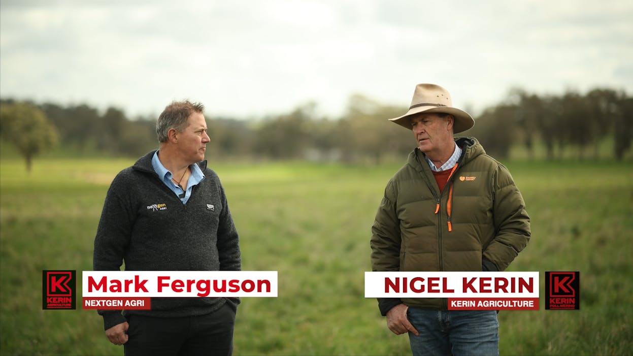 Blogs neXtgenminiseries Wealth-in-wool-2