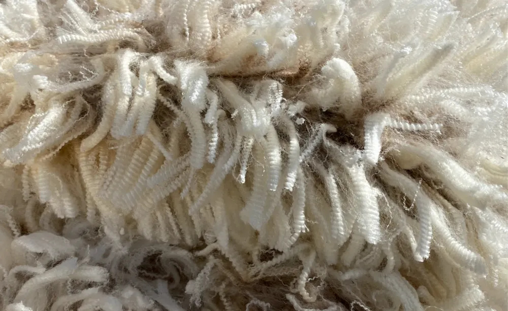 Blogs neXtgenminiseries Wealth-in-wool-no-text