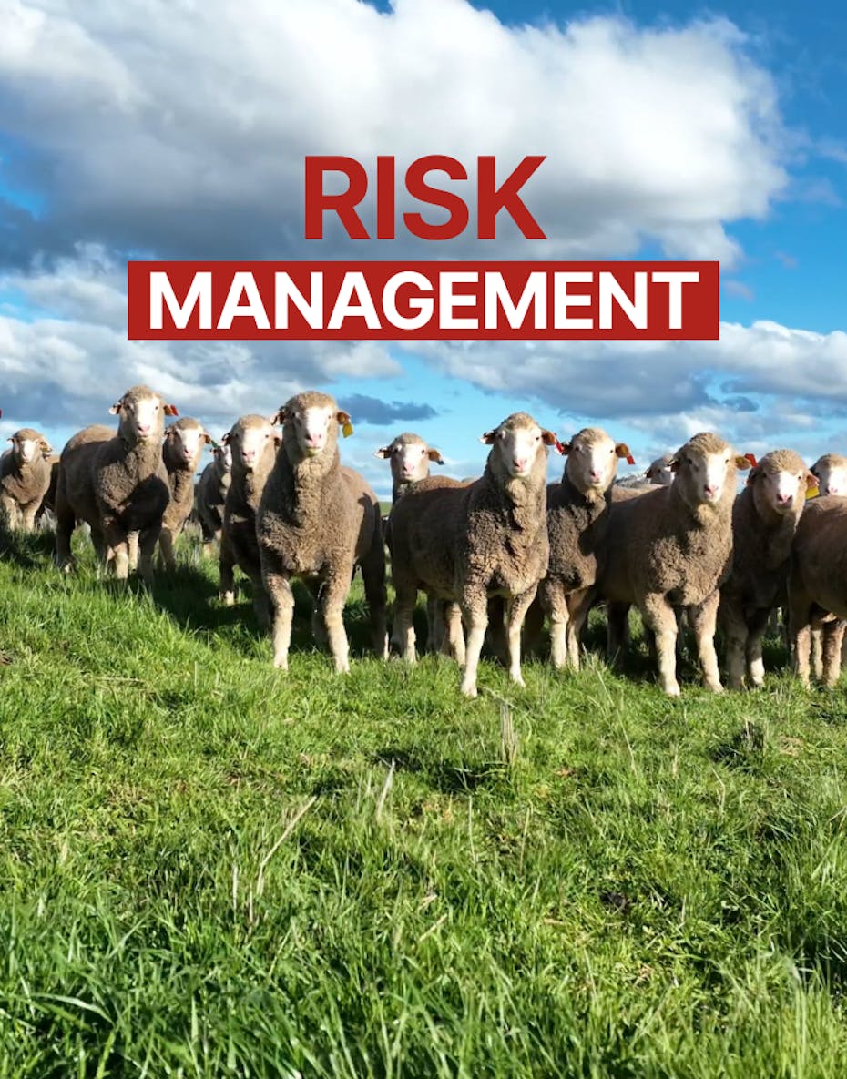 Blogs neXtgenminiseries risk-management