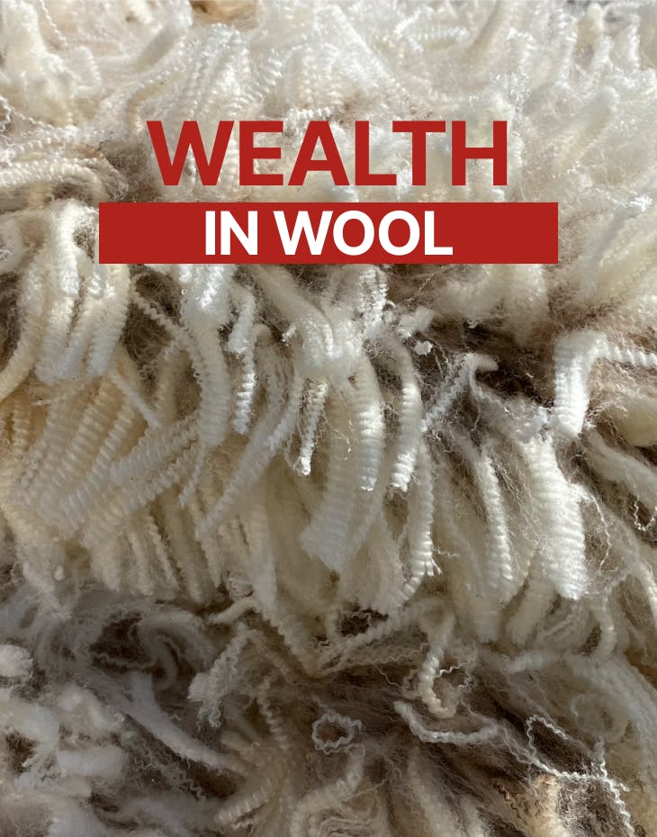 Blogs neXtgenminiseries wealth-in-wool