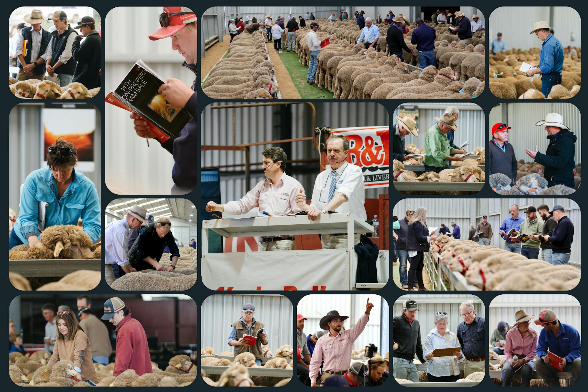 Global Global-Sale-Day-1