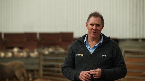 Stud-Sire Mark-Ferguson-thumb