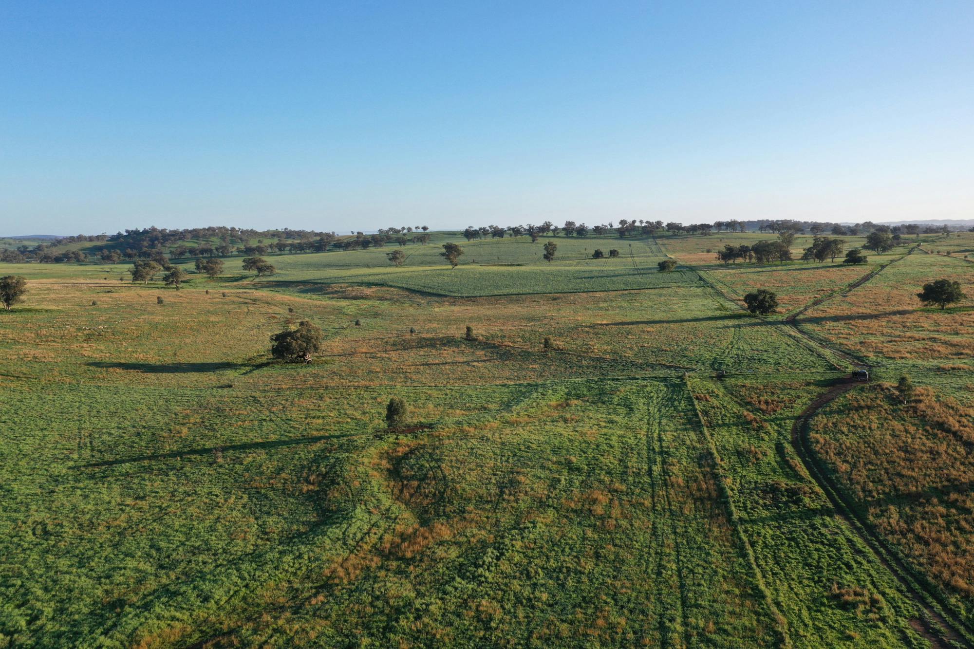 placeholder banner-home