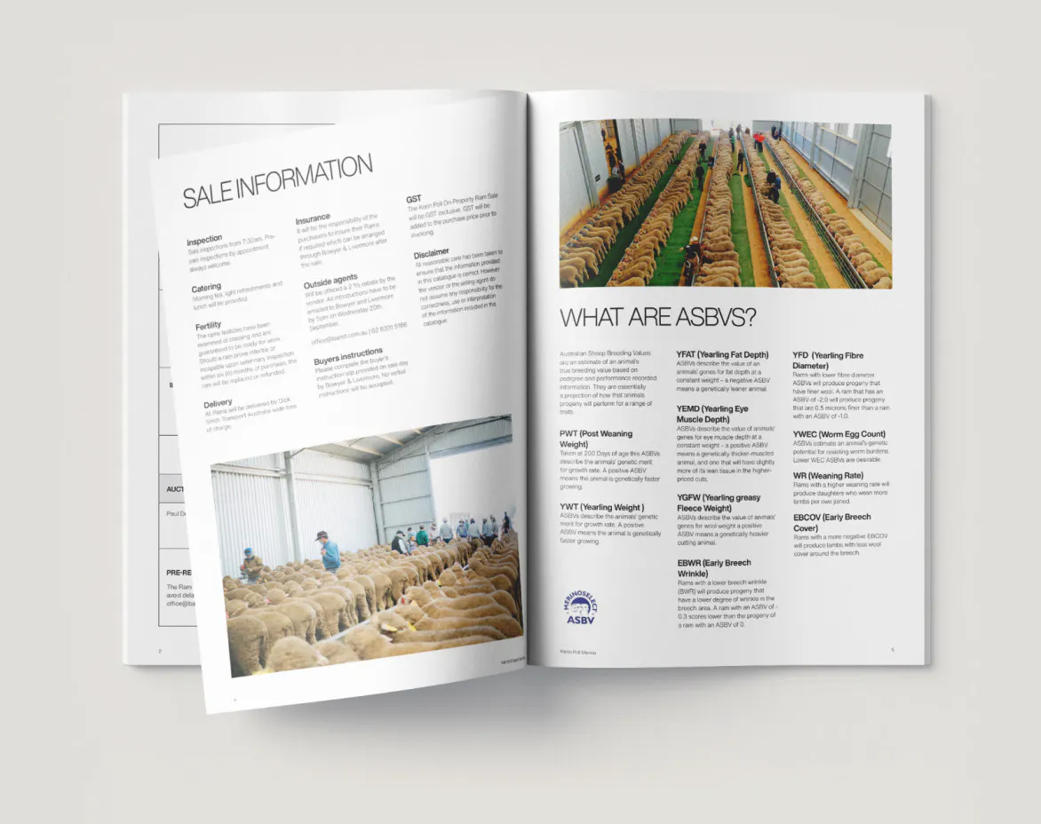 placeholder brochure