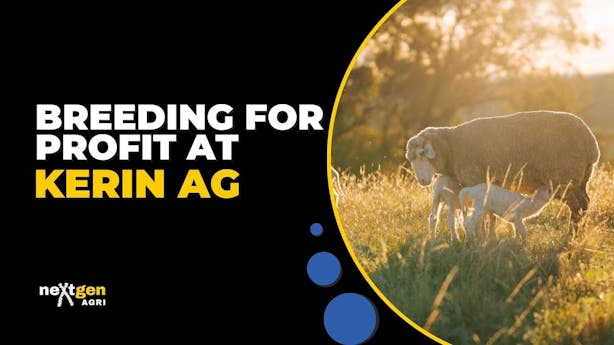 video-thumbnails Breeding-for-Profit-neXtgen-Agri