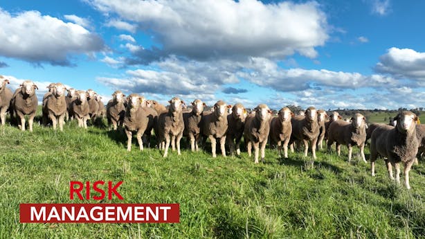 video-thumbnails Risk-Management