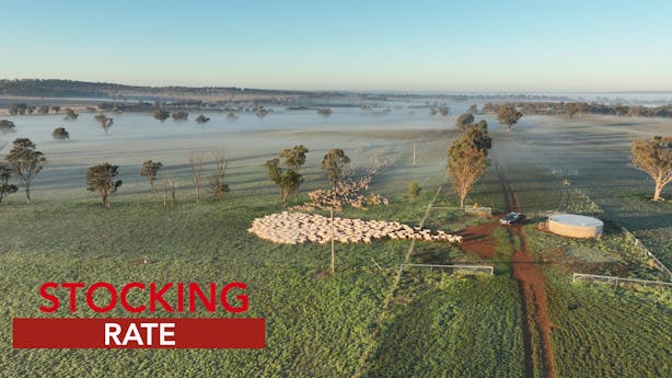 video-thumbnails Stocking-Rate