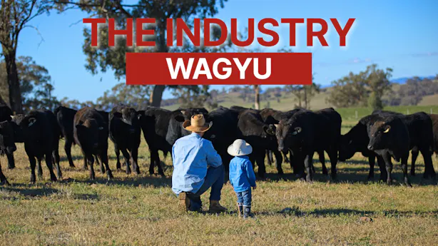 video-thumbnails The-industry-wagyu-2026