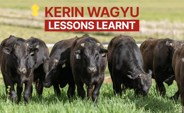 video-thumbnails lessons-learnt1